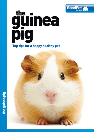 [MA3598] Magnet & Steel The Guinea Pig Good Pet Guide