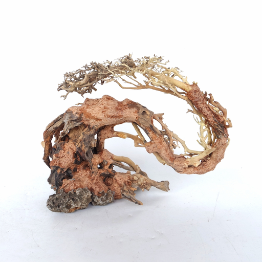 [MJDR08-17-BM-S] SV Aquarium Deco Dragon-like Wood Tree Medium, 30x23x13 cm / pc
