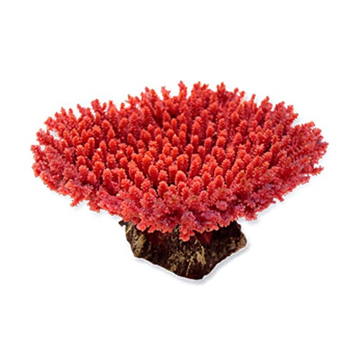 [NI-02E] Nature's Image Ni-02E Acropora Hyacinthus Red 5.5x4.5x2.5 Inch. Table Acropora Replica Coral
