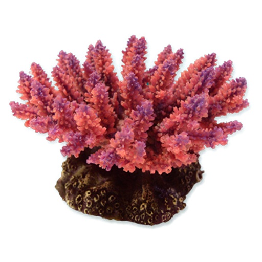 [NI-04B] Nature's Image Ni-04B Acropora Polystoma Pink 5.5x4x3.5 Inch. Replica Coral