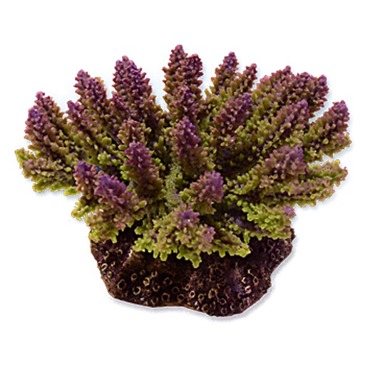 [NI-04C] Nature's Image Ni-04C Acropora Polystoma Green & Violet 5.5x4x3.5 Inch. Replica Coral