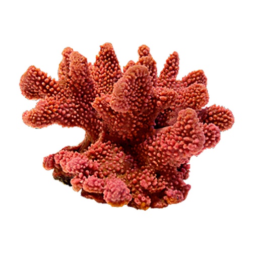 [NI-06B] Nature's Image Ni-06B Pocillopora Verrucosa Pink 8x7.5x4.5 Inch. Replica Coral