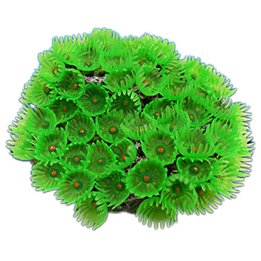 [NI-116A] Nature's Image Ni-116A Protopalythoa Green 3.75x3.5x3.125 Replica Coral