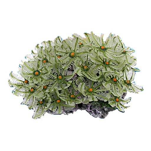 [NI-122A] Nature's Image Ni-122A Clavularia Green 5.25x3.75x2.5 Inch. Clove Polyp Replica Coral