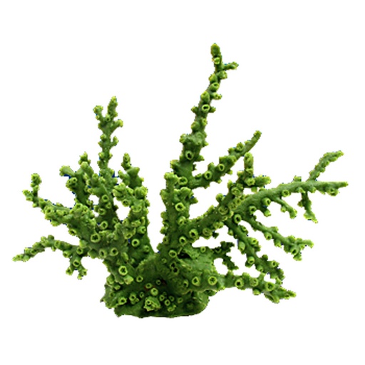 [NI-12A] Nature's Image Tubestrea Miracantha Octopus Coral Replica Coral Green 13x4x10"