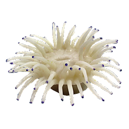 [NI-142A] Nature's Image Ni-142A Macrodactyla Doreensis White 4.5x4.25x2.25 Inch. Big Foot Anemone Replica Coral