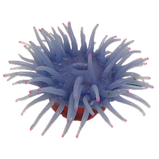 [NI-142B] Nature's Image Ni-142B Macrodactyla Doreensis Violet 4.5x4.25x2.25 Inch. Big Foot Anemone Replica Coral