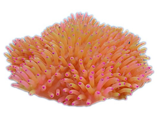 [NI-143B] Nature's Image Ni-143B Heteractis Magnifica Pink 9x9.5x3.75 Inch. Carpet Anemone Replica Coral