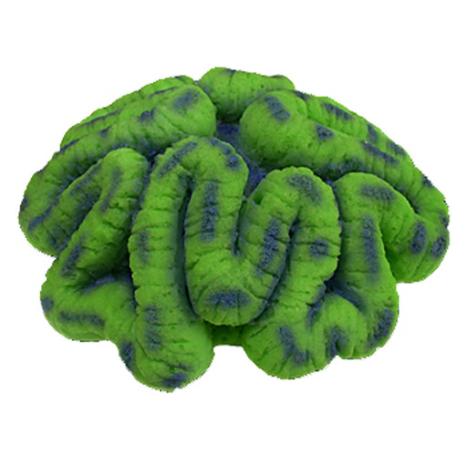 [NI-14A] Nature's Image Ni-14A Lobophyllia Hemprochii Green 7.5x7.5x3 Inch. Open Brain Coral Replica Coral