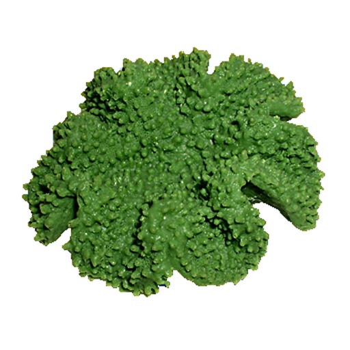 [NI-150B] Nature's Image Ni-150B Sarcophyton Sp. Green 5x4.75x2.25 Inch. Smooth Leather Coral Replica Coral