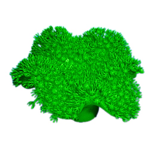 [NI-151B] Nature's Image Ni-151B Sarcophyton Elegans Green 5x4.75x2.25 Inch. Replica Coral