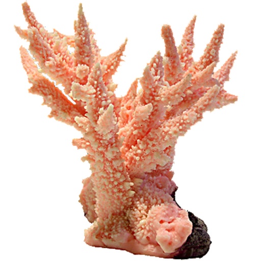 [NI-19B] Nature's Image Ni-19B Acropora Abrotanoides Pink 6x5x5 Inch. Branching Acropora Replica Coral