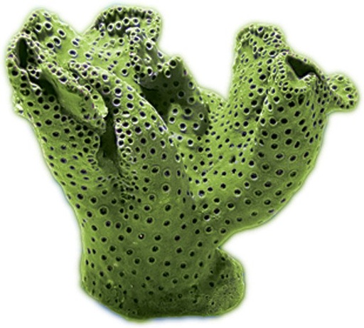 [NI-30B] Nature's Image Turbinaria Peltata Green Turbinaria Replica Coral 13x10x10"