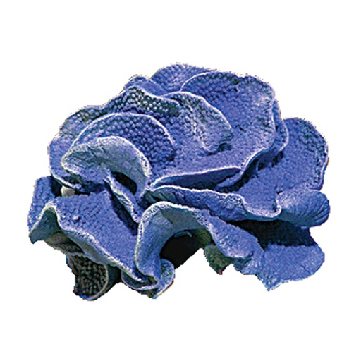 [NI-34B] Nature's Image Turbinaria Mesenterina Blue Turbinaria Replica  9x8x5.5"
