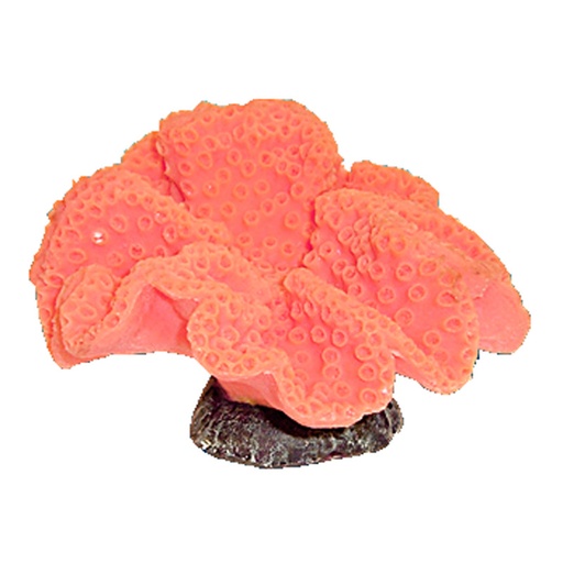 [NI-35C] Nature's Image Ni-35C Turbinaria Peltata Pink 8x7x4.5 Inch. Replica Coral