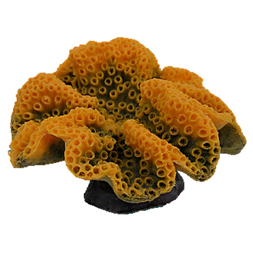 [NI-35O] Nature's Image Turbinaria Peltata  Replica Coral Orange 8x7x4.5"