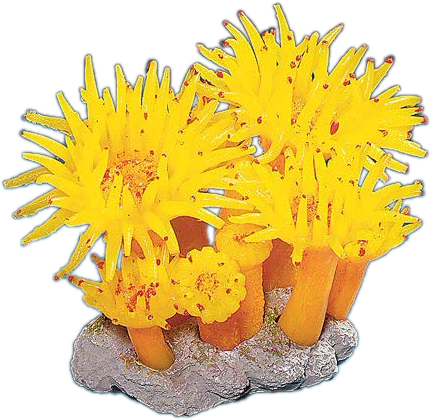[NI-45A] Nature's Image Tubastrea Faulkneri Yellow & Orange Sun Polyp Coral Replica 5.0x3.75x3.0"