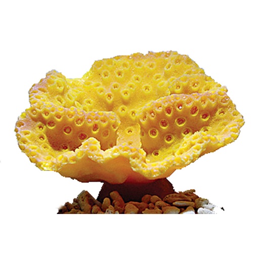 [NI-48A] Nature's Image Turbinaria Peltata Cup Coral Replica Coral Yellow 5x4x3"