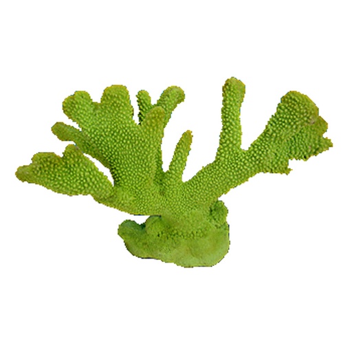 [NI-63A] Nature's Image Ni-63A Pocillopora Eydouxi Green 8x13x9 Inch. Replica Coral