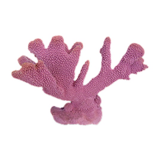[NI-63B] Nature's Image Ni-63B Pocillopora Eydouxi Purple 8x13x9 Inch. Pocillopora Eydouxi Replica Coral