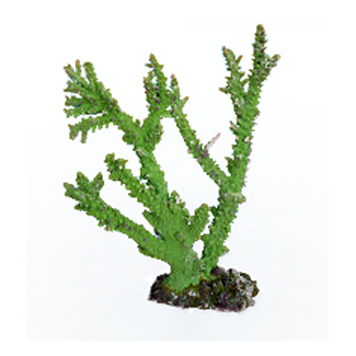 [NI-67D] Nature's Image Ni-67D Acropora Grandis Green 16x9x20inch Staghorn Coral Replica