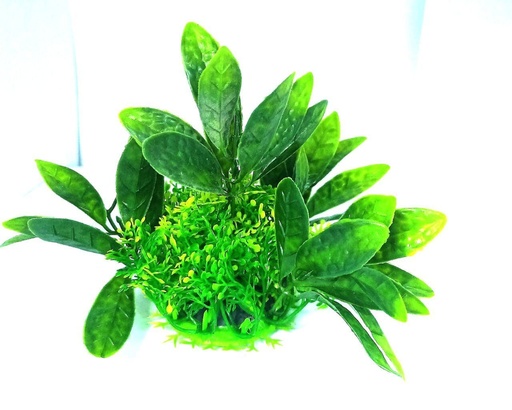 [PC-M508] Aquarium Plastic  Plant - M508 -W6*H12 Cm(Sold By 3Pcs/Pack)