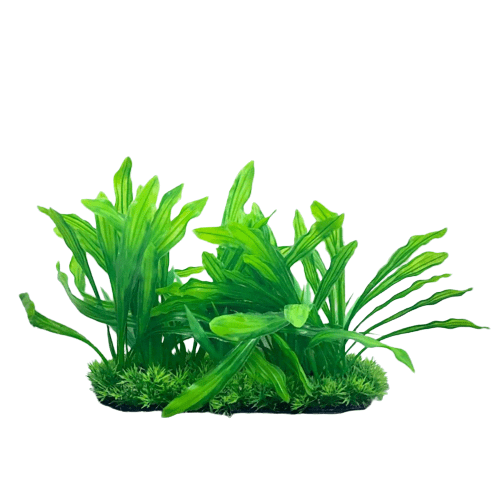 [PC-L707] Aquarium Plastic  Plant - L707-W25*H26 Cm
