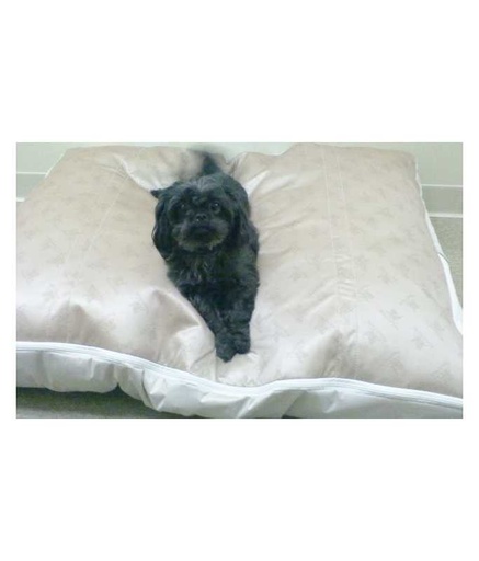 [794219304218] Poochpad Dog Bed Large Beige Color 42x30”
