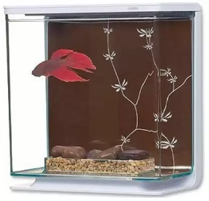 [HA13412] Fluval Marina Betta Kit Contemporary 3L