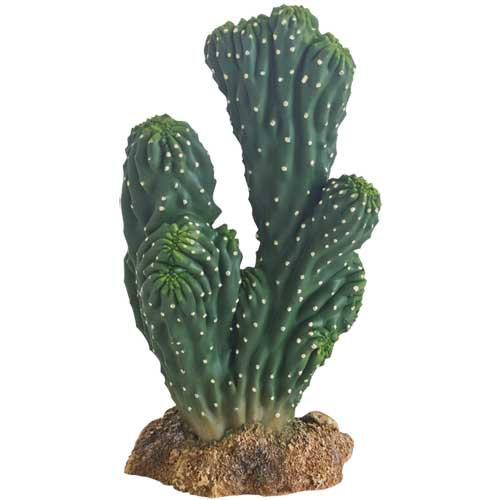 [HO37019] Hobby Victoria Cactus Figurine Height 19cm