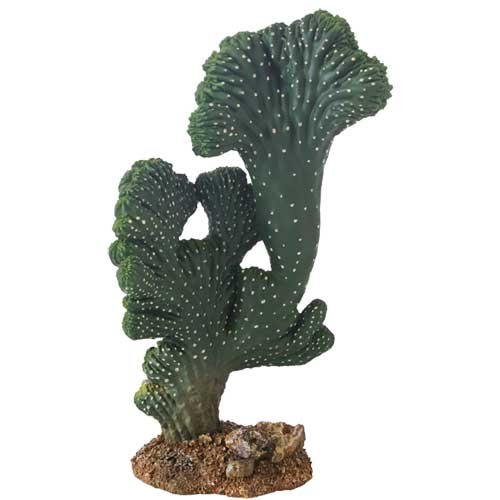 [HO37020] Hobby Victoria Cactus Figurine Height 22cm