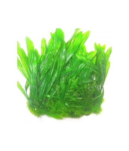 [PLT1306L] Sea Star Aquarium Plant 20cm