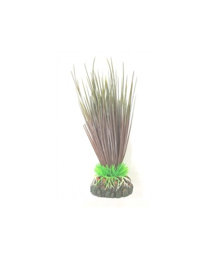 [PLT3906] Sea Star Aquarium Plant Green 20cm
