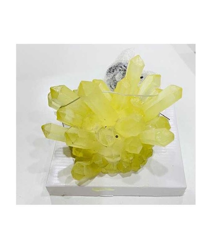 [U817] KW Zone Aquarium Decoration 15x12x11cm