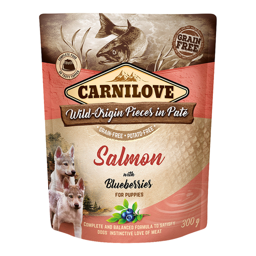 [8595602537822] Carnilove Salmon with Blueberries for Puppies Wet Food Pouches 12x300gm