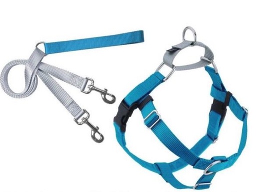 [HUPKMDTQ] 2 Hounds Design Freedom No Pull Dog Harness and Leash Turquoise Medium 1inch Nylon, Swiss Velvet & SS