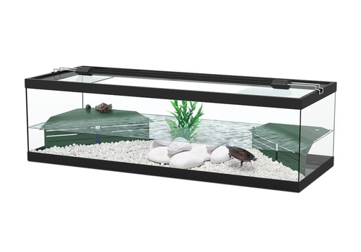 [TR09317] Terratlantis Tortum Turtle Tank 100