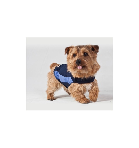 [THEUBSSXS-T01] Thundershirt Dog Blue XS