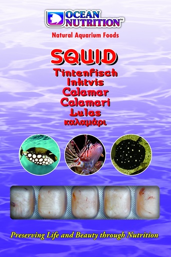 [OC1500013] Ocean Nutrition Squid 100gm