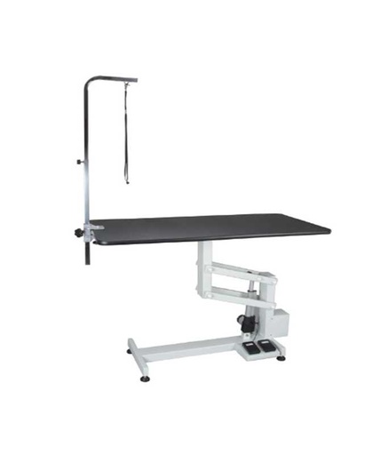 [FT-802LE] Shernbao Electric Grooming Table - Z-Lifting