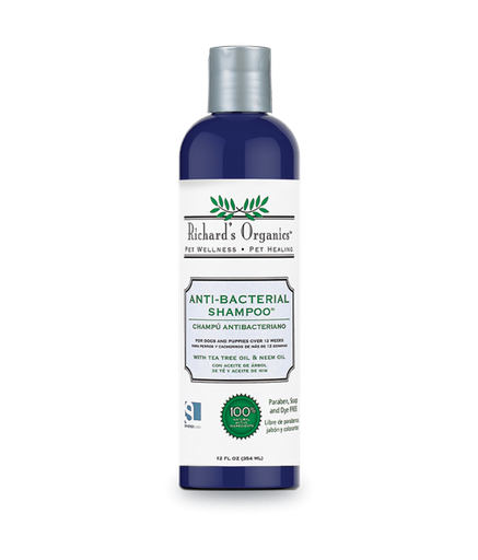 [FG00465] Synergy Labs Anti-Bacterial Shampoo
