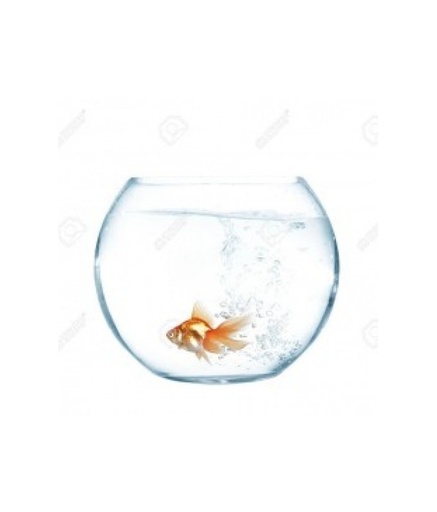 [GBL8] Camry Glass Bowl 8inch