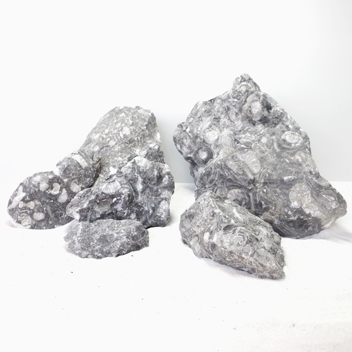 [MJDRA-1-030SS] Sv Aquarium Deco Sunk Jade XS 7x10cm 48pcs