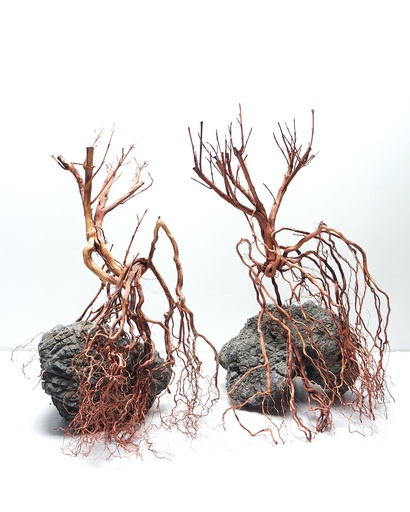 [MJDR08-45S] Sv Aquarium Deco Whiskers Wood Small 20x30cm