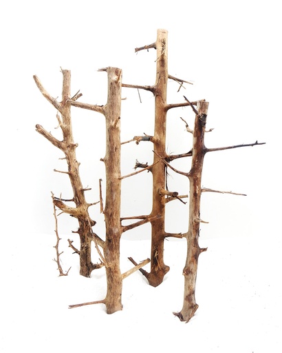 [MJDR08-28M] Sv Aquarium Deco Long Hands Wood - Medium - 30-45cm - Box