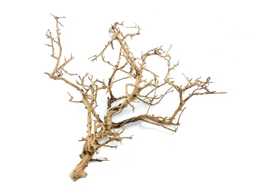 [MJDR08-18] SV Aquarium Deco Tiny Ramous Wood 20x50cm