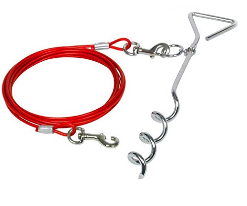 [LR89070303] Duvo+ Tie Out Stake With Rope Red 40cm